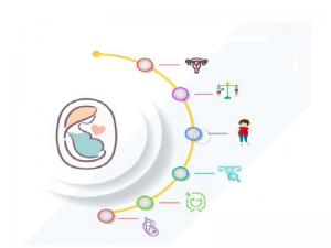 دکتر خوب برای درمان ناباروری در تهران - دکتر درویش زاده