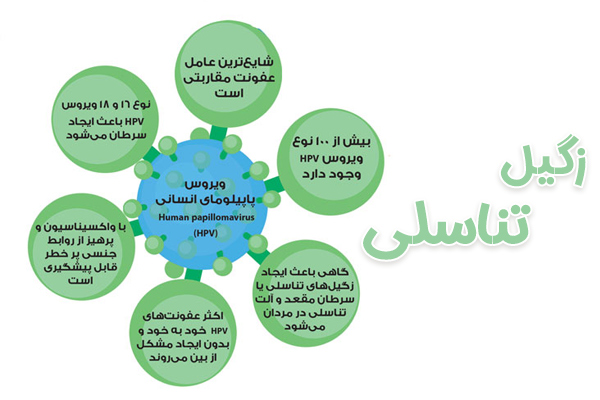 زگیل تناسلی - دکتر درویش زاده